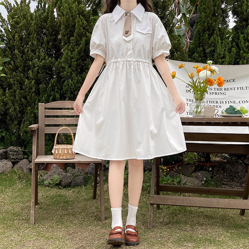 New Preppy Embroidered Short Sleeve Midi Dress with Doll Collar